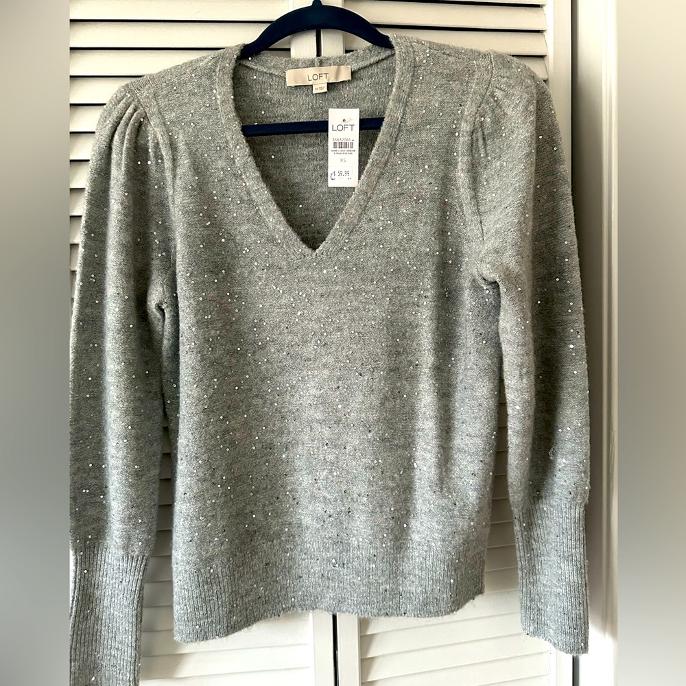 Loft Embellished V neck Sweater